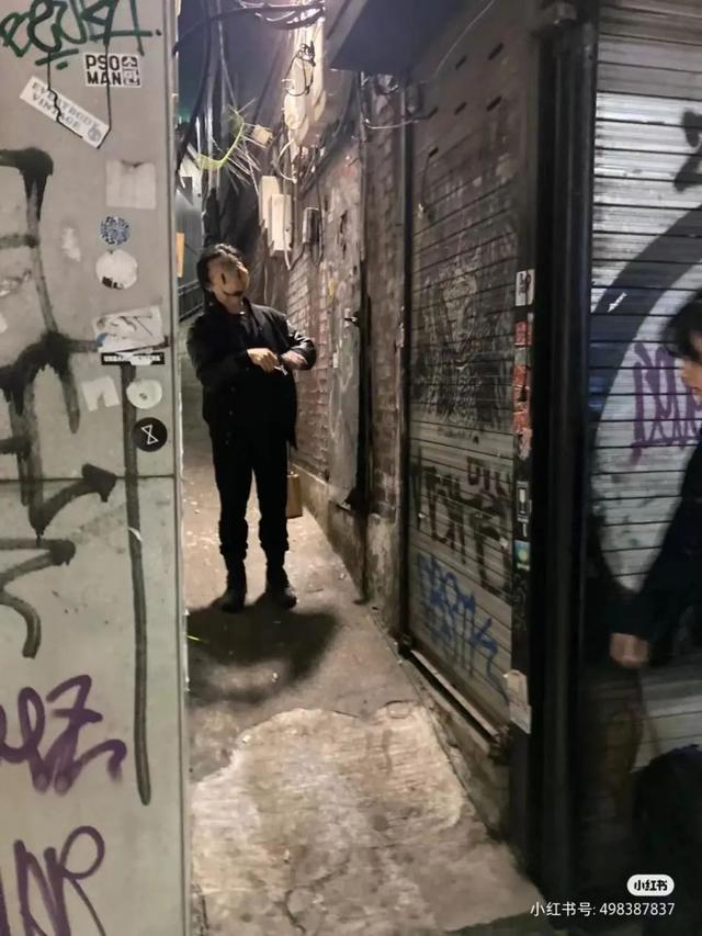 踩踏社区在线观看手机版踩踏天地怎么快速获得金币-第1张图片-太平洋在线下载