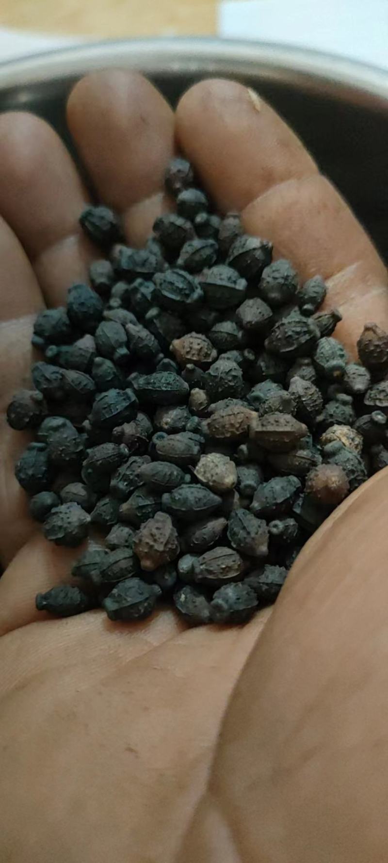 手机版末地种子mc种子手机版最强种子-第1张图片-太平洋在线下载