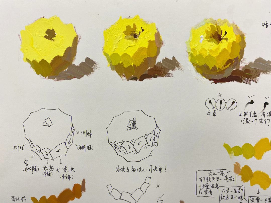 天生会画苹果版天生会画电脑版下载最新版-第2张图片-太平洋在线下载
