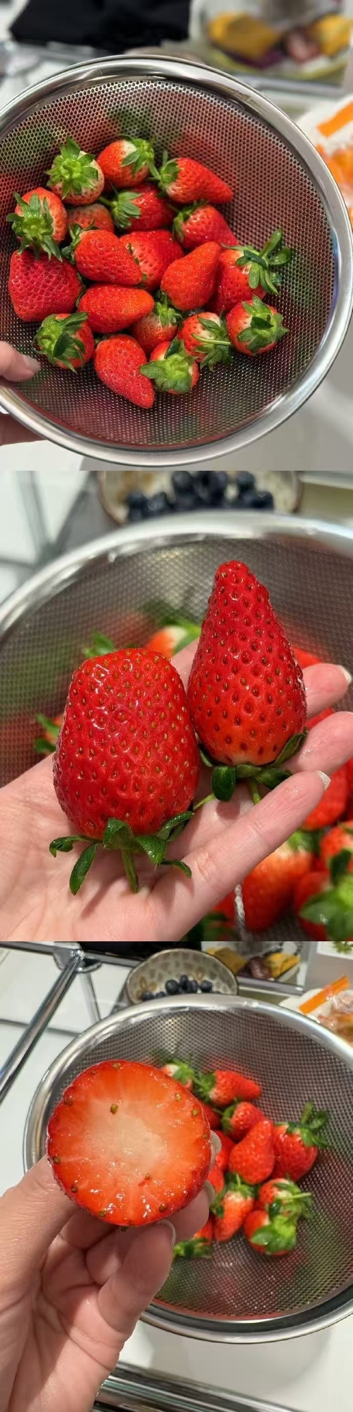 苹果版小草莓芒果xo小草莓